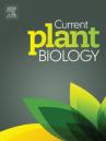 Current Plant Biology cover