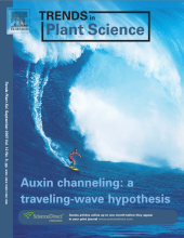 Trends in Plant Science September 2007